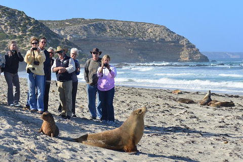 2-Day Kangaroo Island 4WD Small-Group Tour From Adelaide - Accommodation Noosa 3