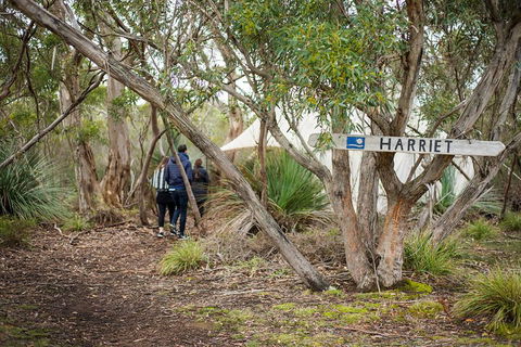 2-Day Kangaroo Island 4WD Small-Group Tour From Adelaide - Accommodation Noosa 5