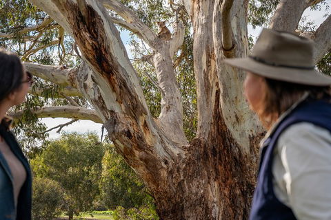 NEW TOUR - Kangaroo Island Road To Recovery Tour (1 Day/1 Night) - Accommodation Noosa 0