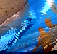 Dive with Sharks at AQWA - Accommodation Noosa