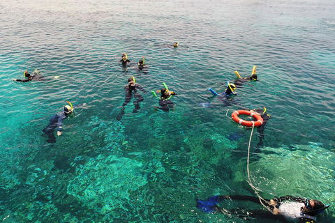Seastar Luxury Outer Great Barrier Reef Island And Reef Tour From Cairns - Accommodation Noosa 2