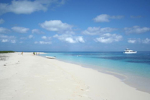 Seastar Luxury Outer Great Barrier Reef Island And Reef Tour From Cairns - Accommodation Noosa 3