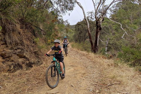 Mount Lofty Descent Bike Tour From Adelaide - Accommodation Noosa 0