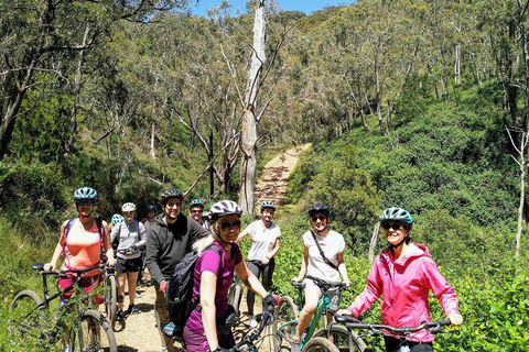 Mount Lofty Descent Bike Tour From Adelaide - Accommodation Noosa 5