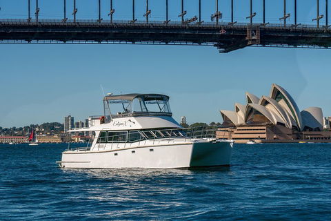 Vivid 90-Minute Sydney Harbour Small Group Catamaran Cruise - Accommodation Noosa 2