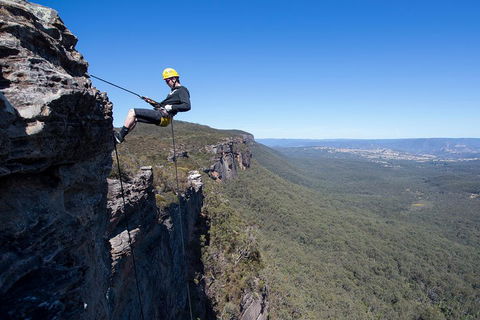 Half-Day Abseiling Adventure In Blue Mountains National Park - Accommodation Noosa 1