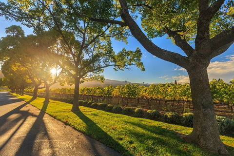 Very Best Of Perth Tour - Wildlife Park & City Highlights Tour - Accommodation Noosa 2