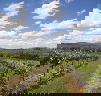 Hunter Valley Wine Tour from Sydney incl Lunch Cheese Chocolate and Distillery - Accommodation Noosa