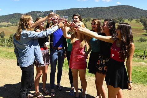 Hunter Valley Wine Tour From Sydney Incl Lunch, Cheese, Chocolate And Distillery - Accommodation Noosa 3