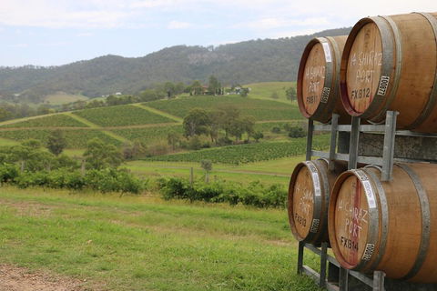 Hunter Valley Wine Tour From Sydney Incl Lunch, Cheese, Chocolate And Distillery - Accommodation Noosa 5