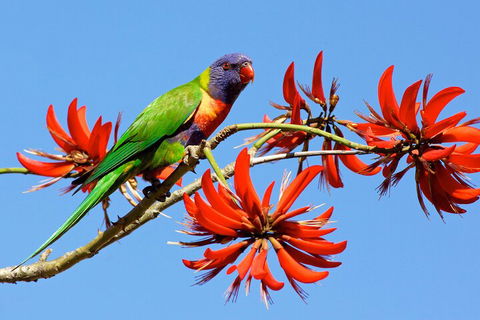 Half Day Perth & Fremantle Highlights - Accommodation Noosa 2