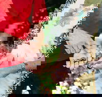 Perth Arcades and Laneways Walking Tour - Accommodation Noosa